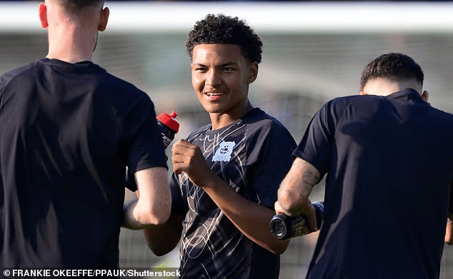 皮尔留在球, 豪渴望特里, 天转会市场 皮尔留在球, 豪渴望特里, 天转会市场