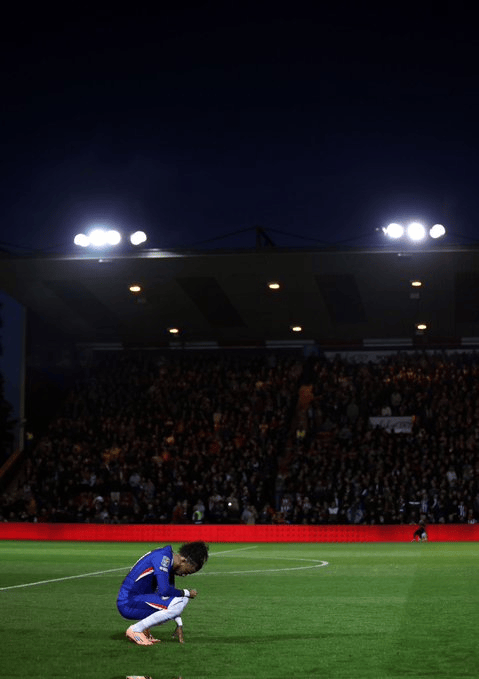 我们就必须, 相当不错